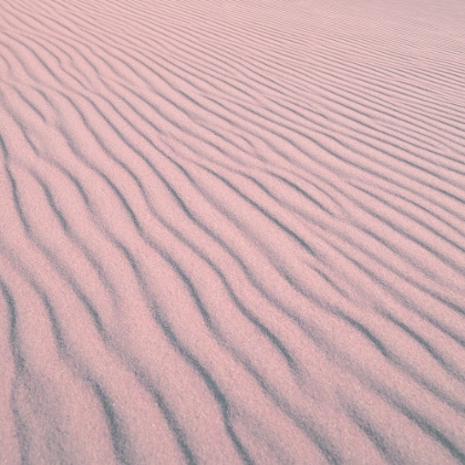 Picture of GREAT SAND DUNES NATIONAL MONUMENT AND PRESERVE-COLORADO