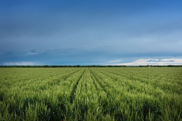 Picture of RURAL OTERO COUNTY-COLORADO