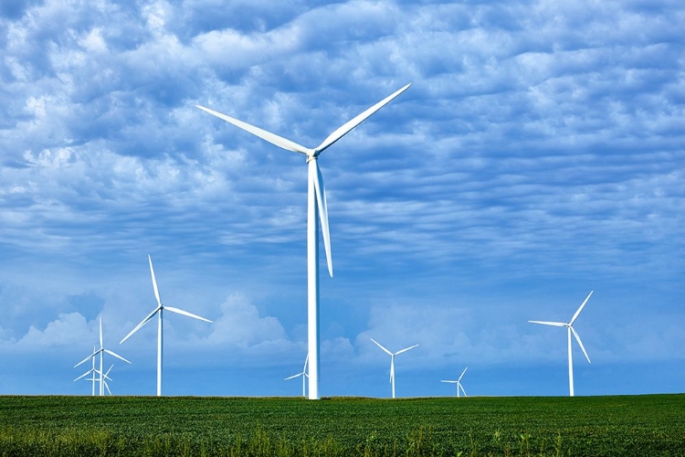 Picture of WIND FARMS IN FRANKLIN COUNTY-IOWA