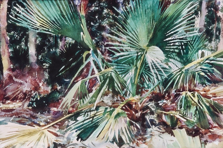 Picture of PALMETTOS