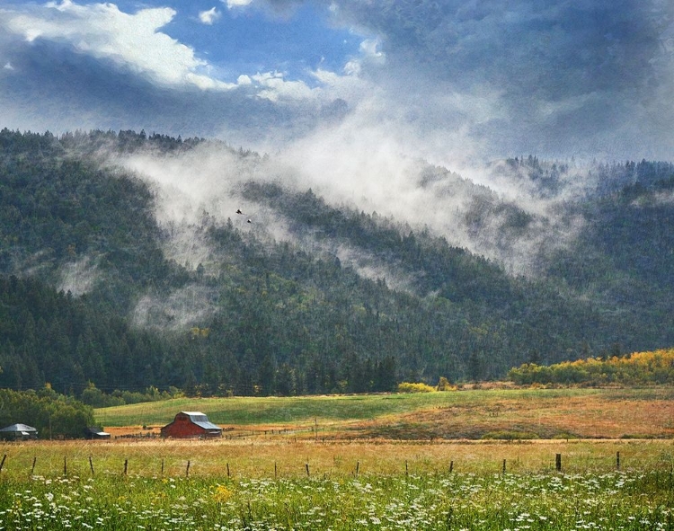 Picture of CLOUDS ON THE MOUNTAIN