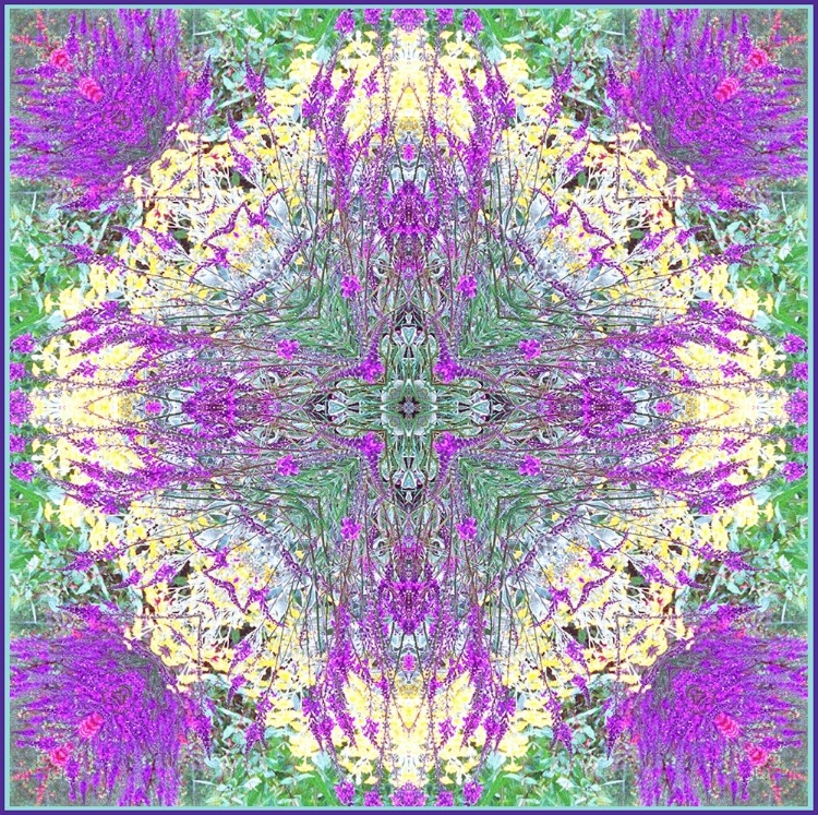 Picture of MANDALA LARKSPUR