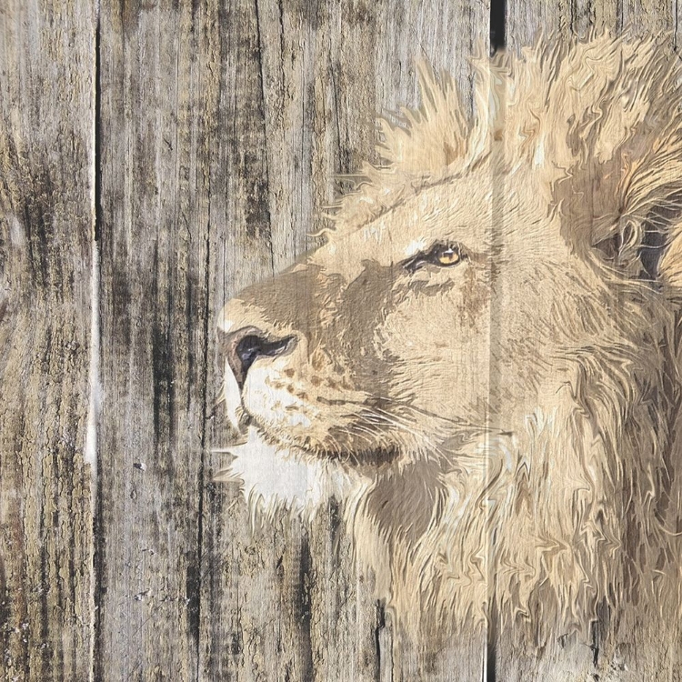 Picture of WILDHEADS LION