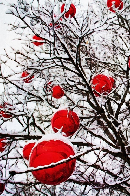 Picture of SNOWY RED BAUBLE BRANCHES II