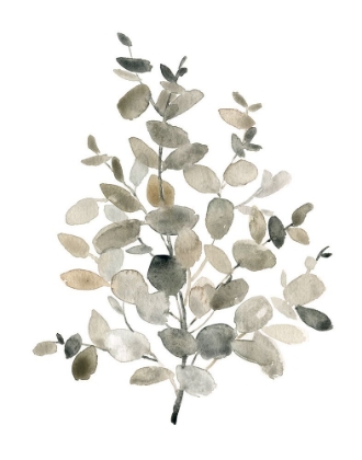 Picture of NEUTRAL EUCALYPTUS II