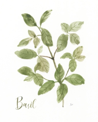 Picture of HERB BASIL