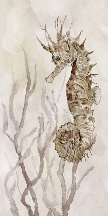 Picture of NEUTRAL SEAHORSE II