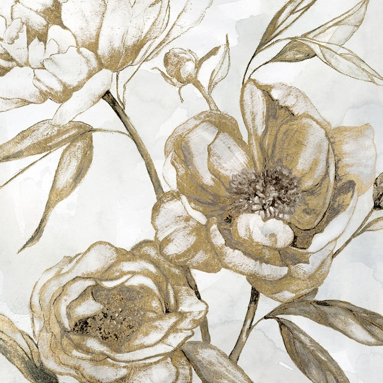 Picture of PEONY GLITZ II