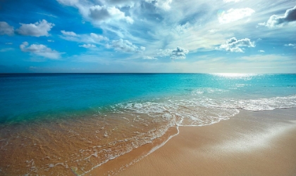 Picture of TURQUOISE TRANQUILITY