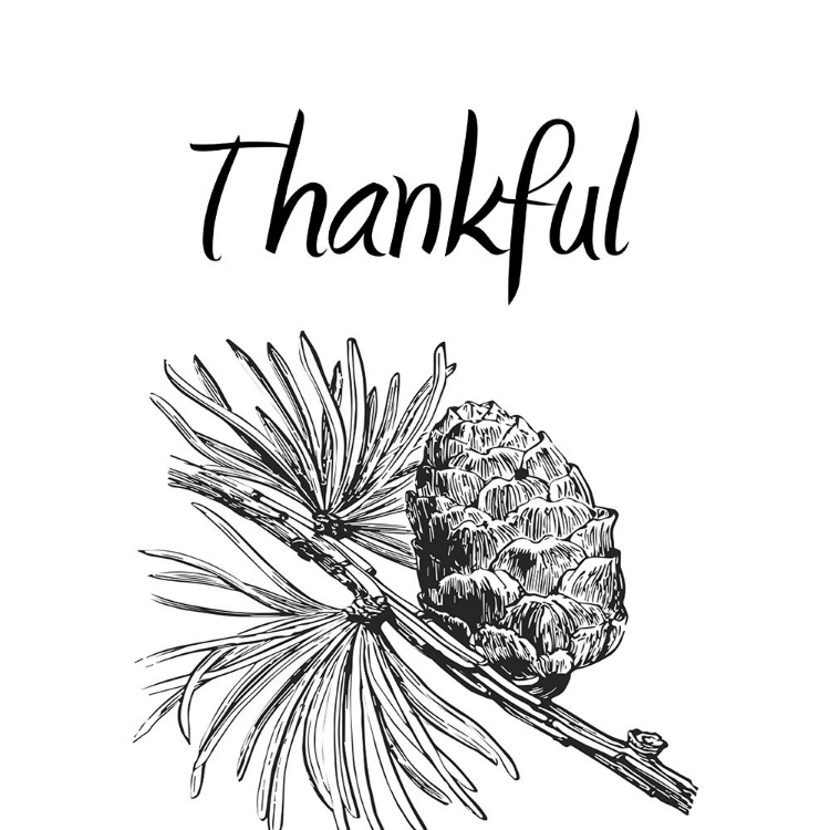 Picture of THANKFUL