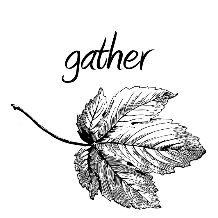 Picture of GATHER