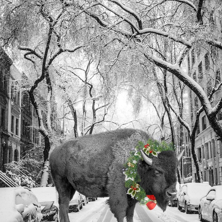 Picture of CHRISTMAS BUFFALO