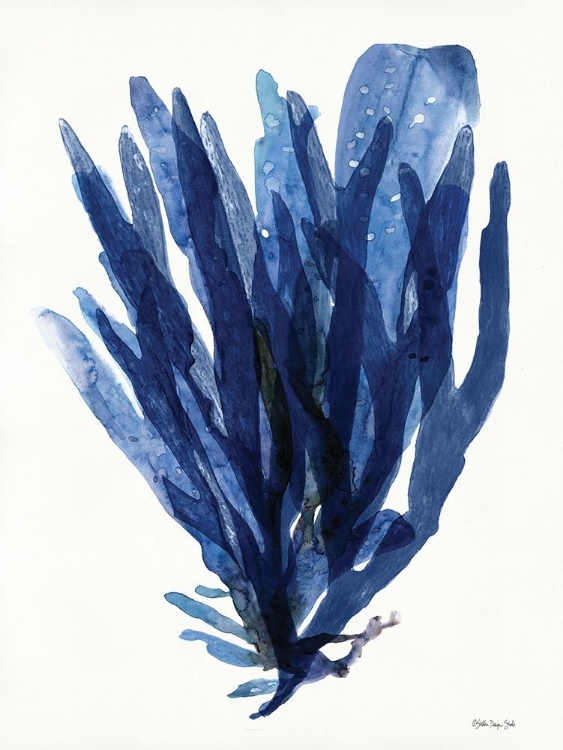 Picture of TRANSPARENT INDIGO SEA GRASS II