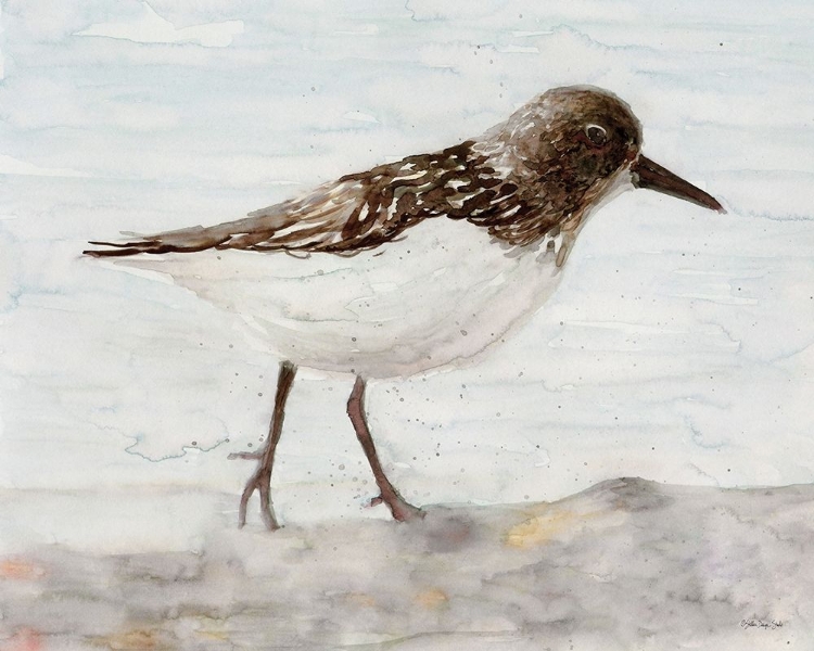 Picture of SANIBEL PIPER 2  