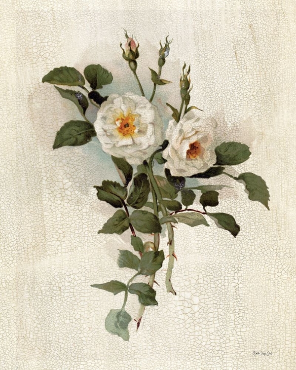 Picture of WHITE ROSES