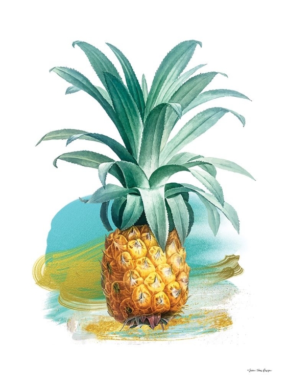 Picture of PINEAPPLE II