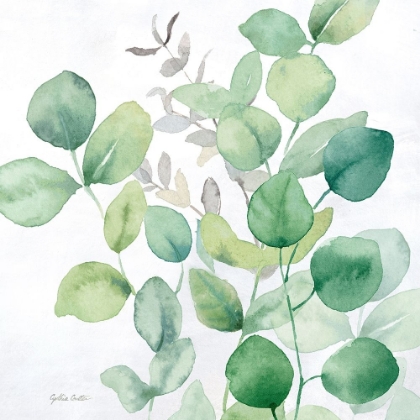 Picture of EUCALYPTUS LEAVES I