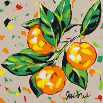 Picture of FRUIT SKETCH ORANGES