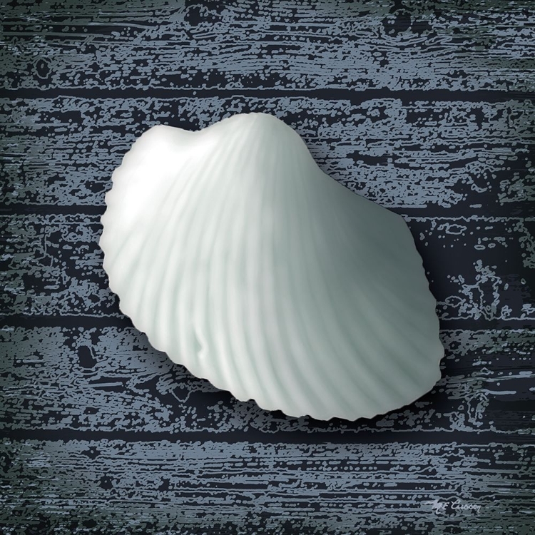 Picture of SEASHORE SHELLS NAVY I