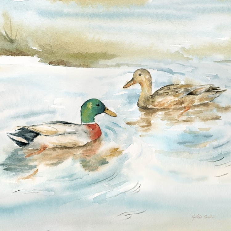 Picture of WOODLAND REFLECTIONS V-MALLARDS