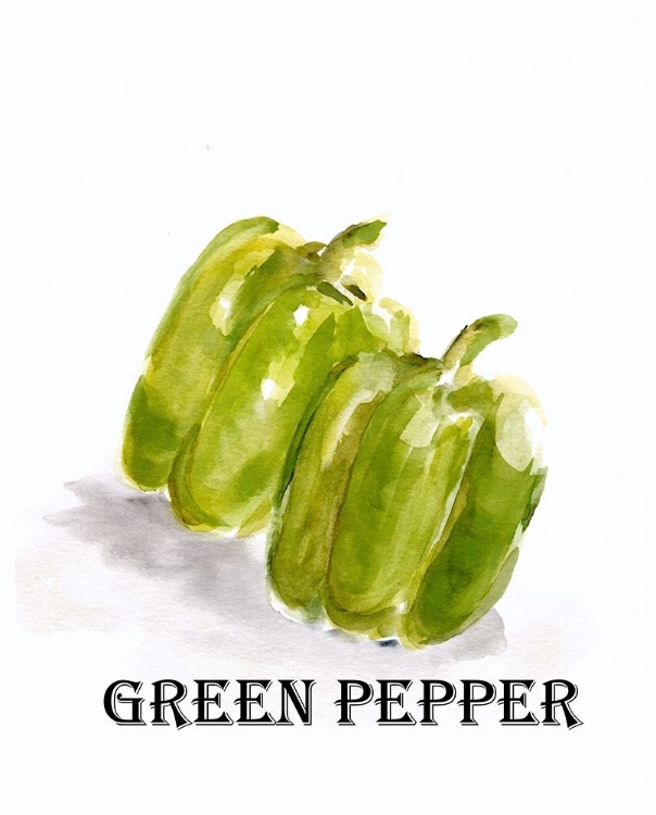 Picture of VEGGIE SKETCH  VIII-GREEN PEPPER