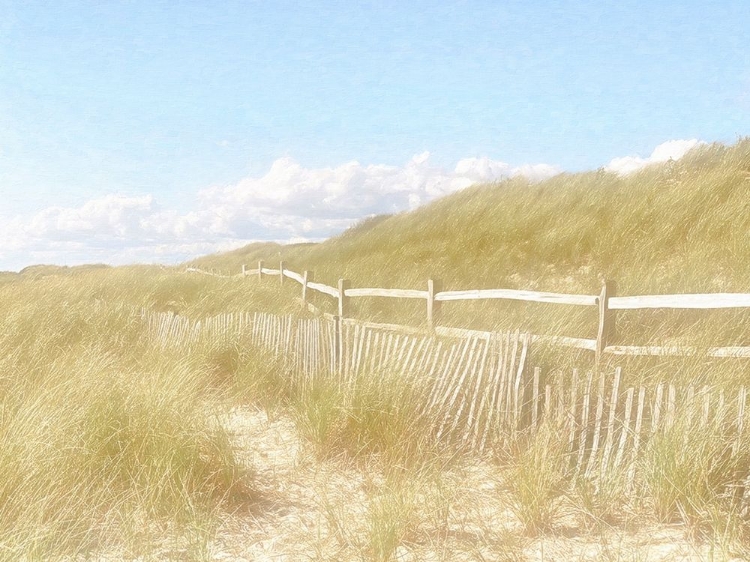 Picture of SEAGRASS  DUNES