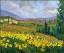 Picture of FIELD OF YELLOW