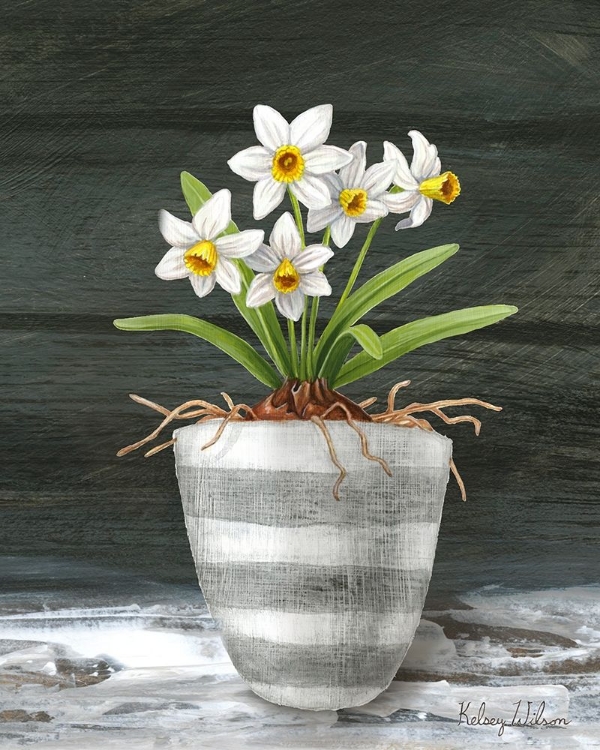 Picture of FARMHOUSE GARDEN II-WHITE DAFFODILS