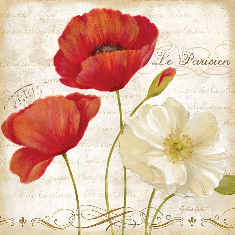 Picture of PARIS POPPIES II