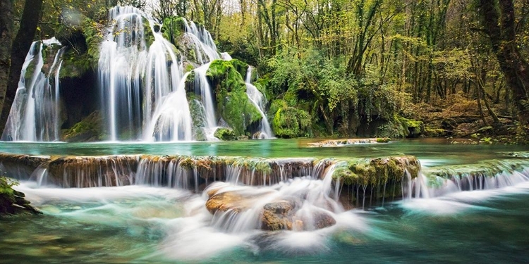 Picture of WATERFALL IN A FOREST