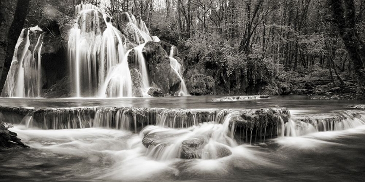 Picture of WATERFALL IN A FOREST (BW)