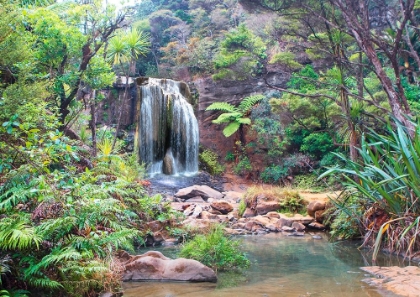 Picture of RAINFOREST WATERFALL - DETAIL