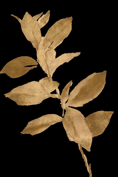 Picture of GOLDEN LEAVES ON BLACK I