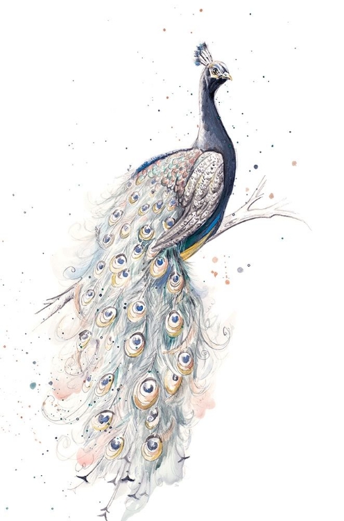 Picture of PEACOCK