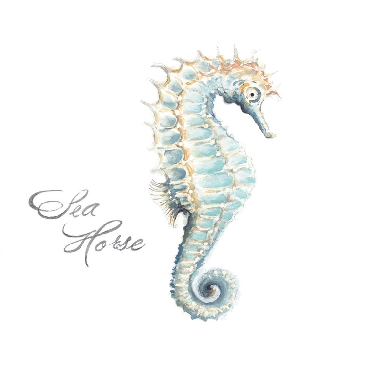 Picture of SEA HORSE