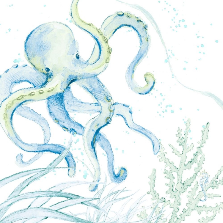 Picture of BLUE OCTOPUS