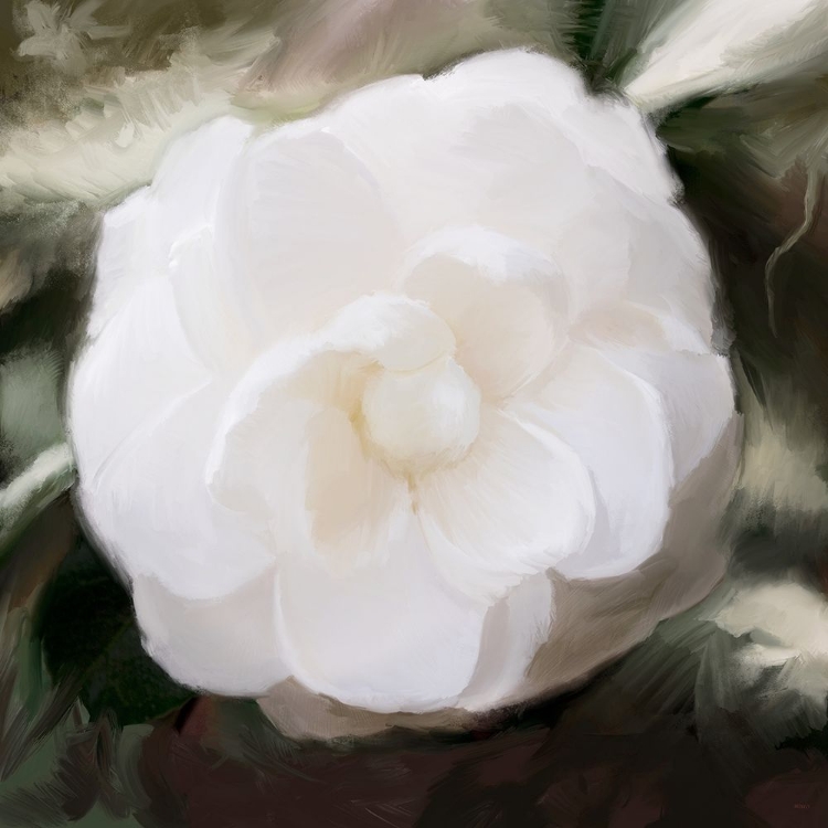 Picture of WHITE FLOWER