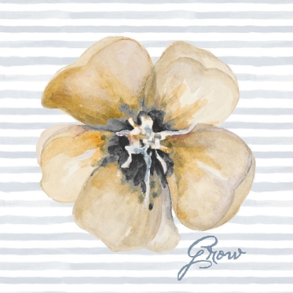 Picture of BLOSSOM AND GROW II