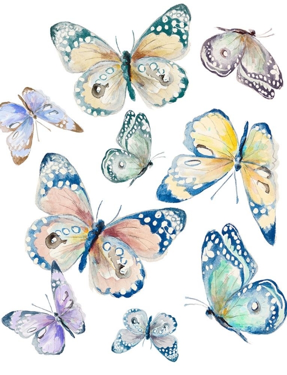 Picture of COLORFUL ISOLATED BUTTERFLIES