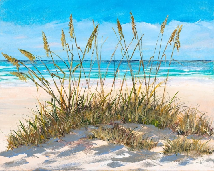 Picture of BEACH GRASS