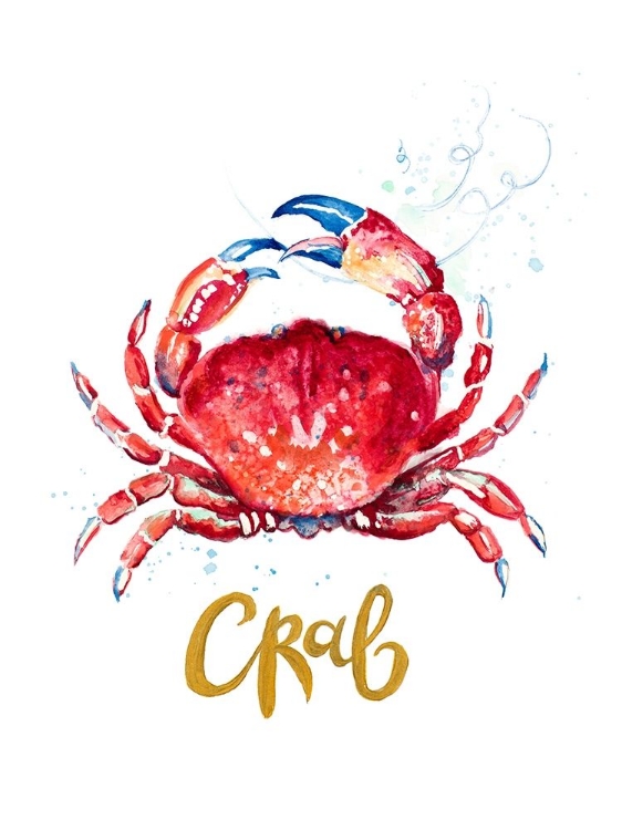 Picture of RED CRAB