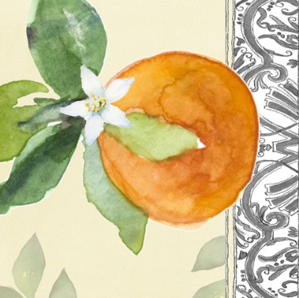 Picture of ORANGE BLOSSOMS I