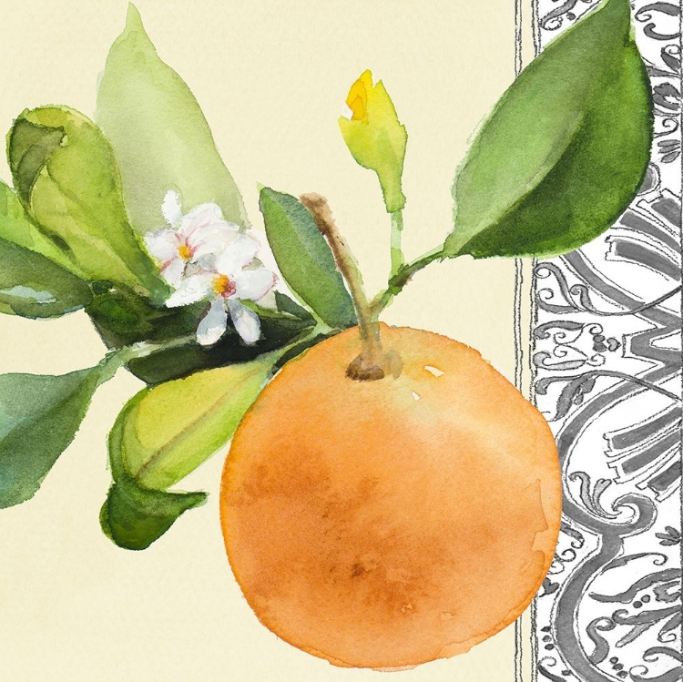 Picture of ORANGE BLOSSOMS II