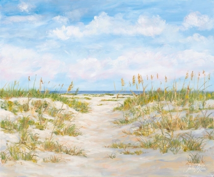 Picture of SUMMER SAND DUNES AND BEACHGRASS