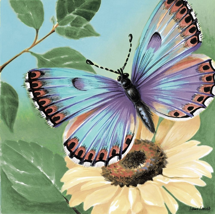 Picture of BUTTERFLY FLOWERS II