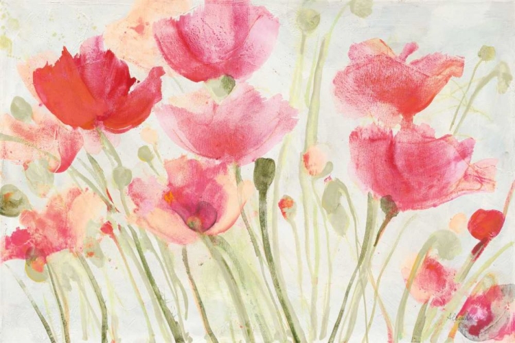 Picture of BLUSH POPPIES