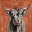 Picture of HIGHLAND COW ON TERRACOTTA