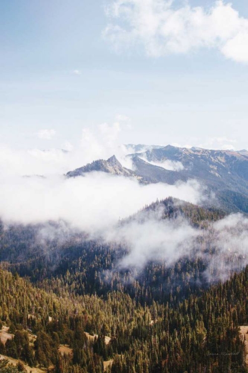 Picture of HURRICANE RIDGE I