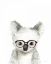 Picture of KOALA IN GLASSES