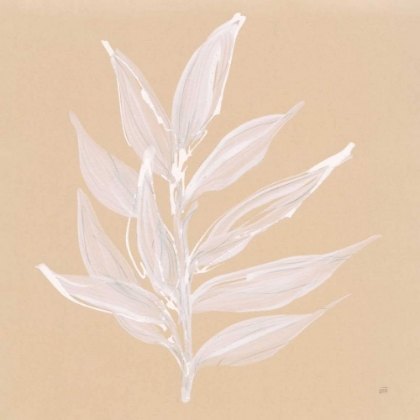 Picture of LEAF STUDY IV